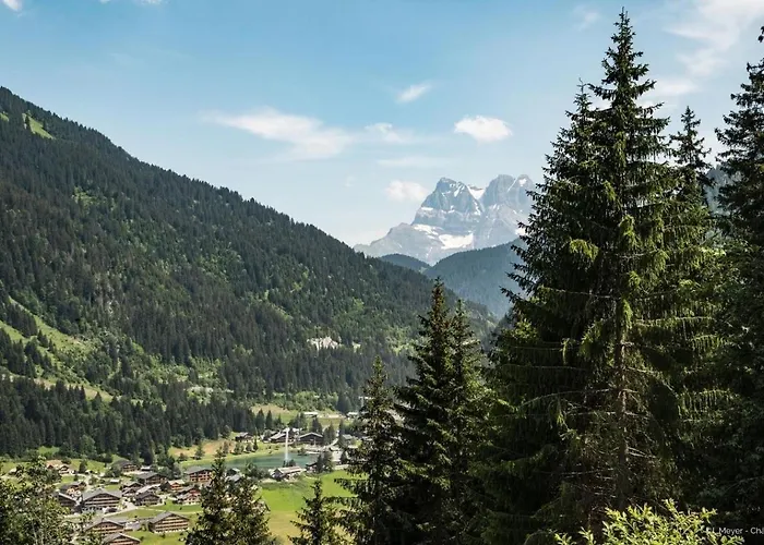 Yeti Yt46b5 Cosy & Mountain 4 Pers * Châtel